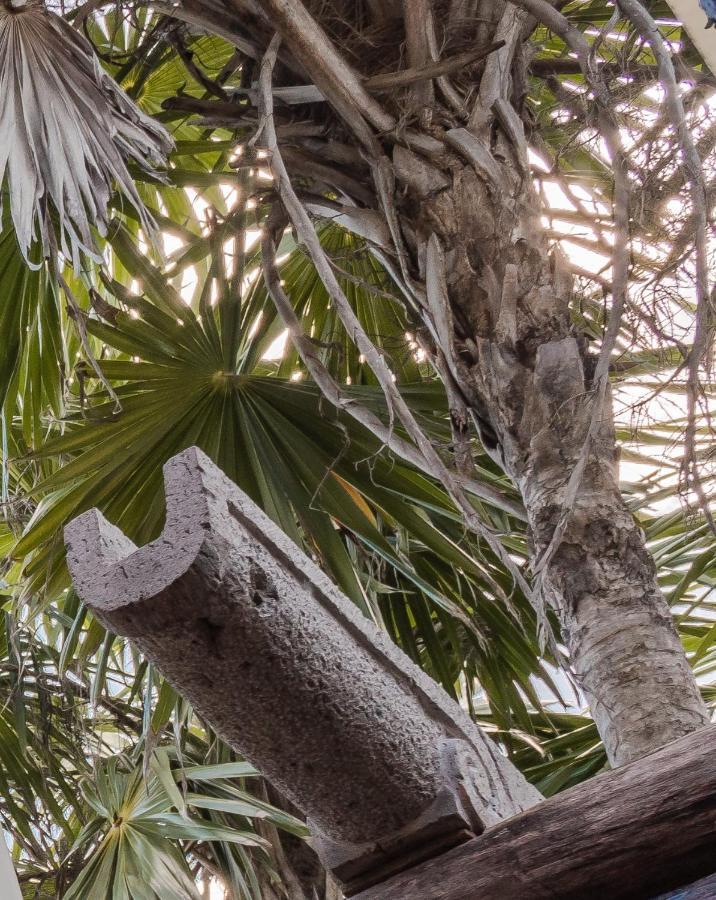 Hotel Playa Esperanza Tulum Zewnętrze zdjęcie